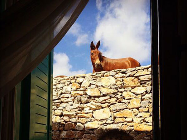 Amorgos Island